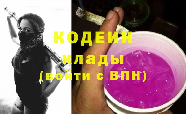 индика Нязепетровск