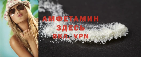 индика Нязепетровск