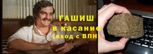 индика Нязепетровск