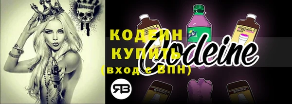 индика Нязепетровск
