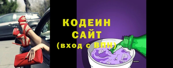 индика Нязепетровск