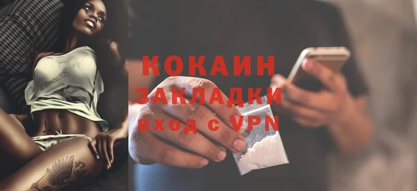 мет Няндома