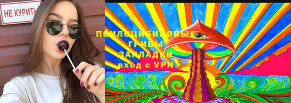 мет Няндома