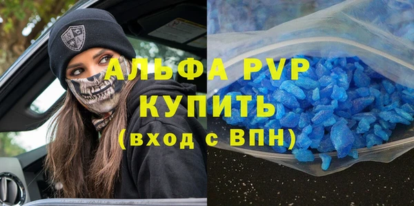 индика Нязепетровск