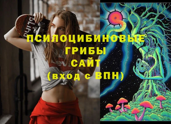мет Няндома