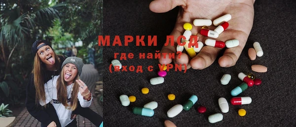индика Нязепетровск