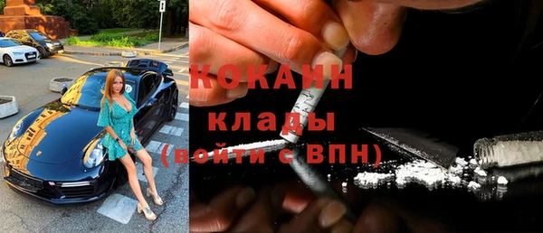 индика Нязепетровск