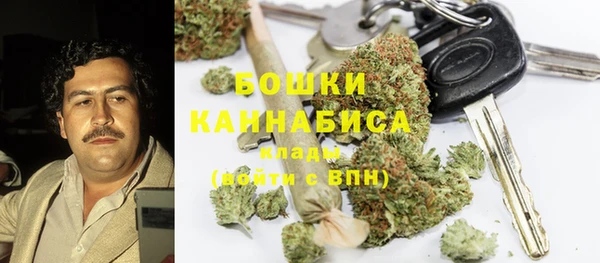 мет Няндома