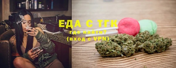 индика Нязепетровск