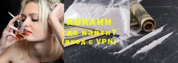 индика Нязепетровск